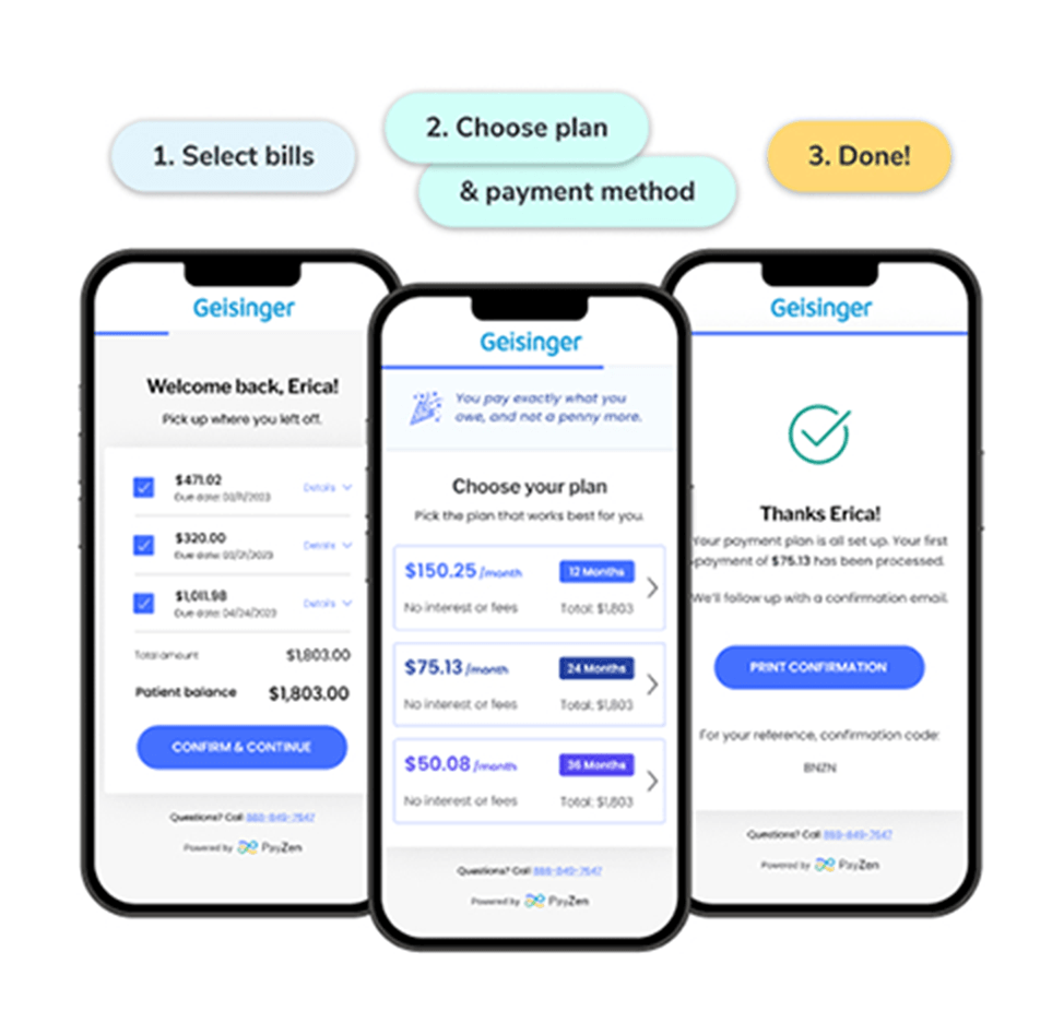 PayZen graphic example 2